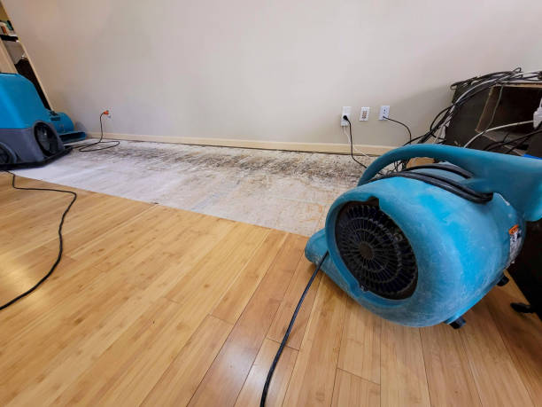 Professional Flood Damage Cleanup technician working in Sand Creek, MI